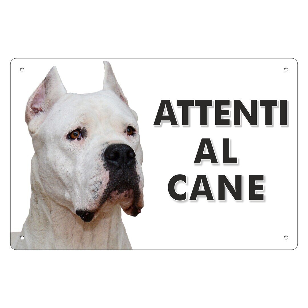 Targa Metallo 'Attenti Al Cane' DOGO ARGENTINO - Personalizzabile 20x30 Cm - Foto 9
